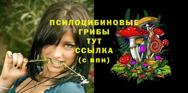 не бодяженный Абинск