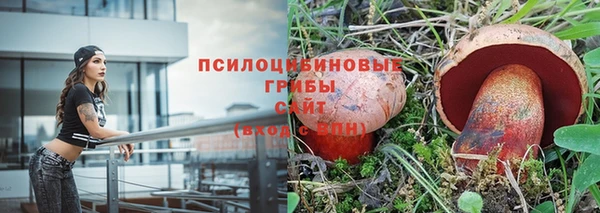 прущие крисы Абдулино